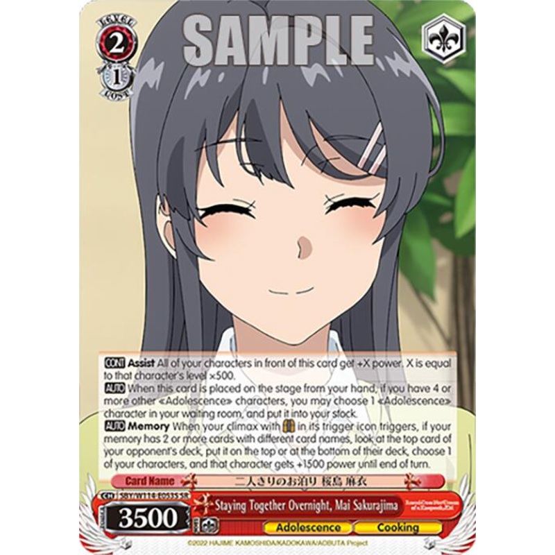 Staying Together Overnight, Mai Sakurajima (SBY/W114-E053S SR) [Rascal Does Not Dream Series]