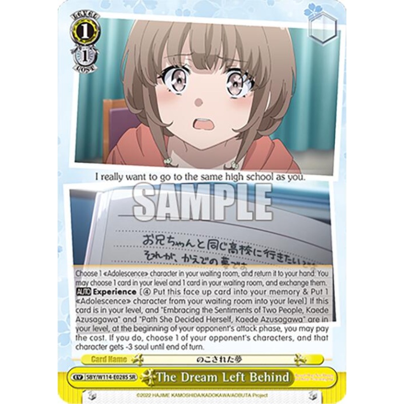 The Dream Left Behind (SBY/W114-E028S SR) [Rascal Does Not Dream Series]